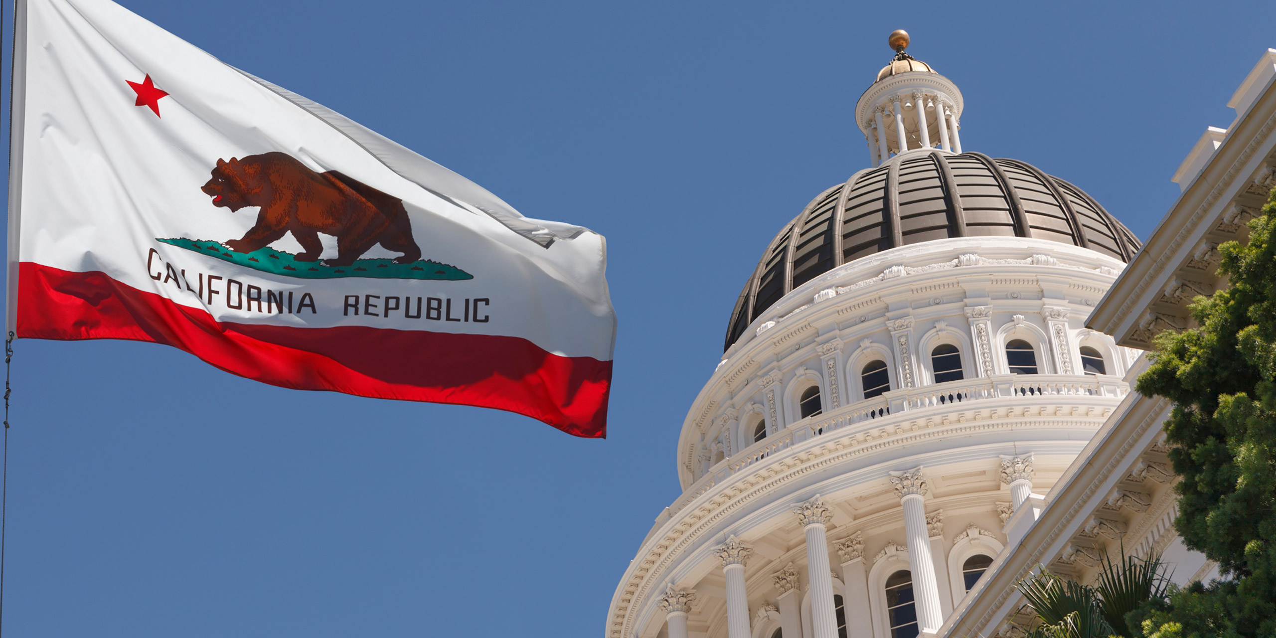 Hero Team California Flag And Capitol Building