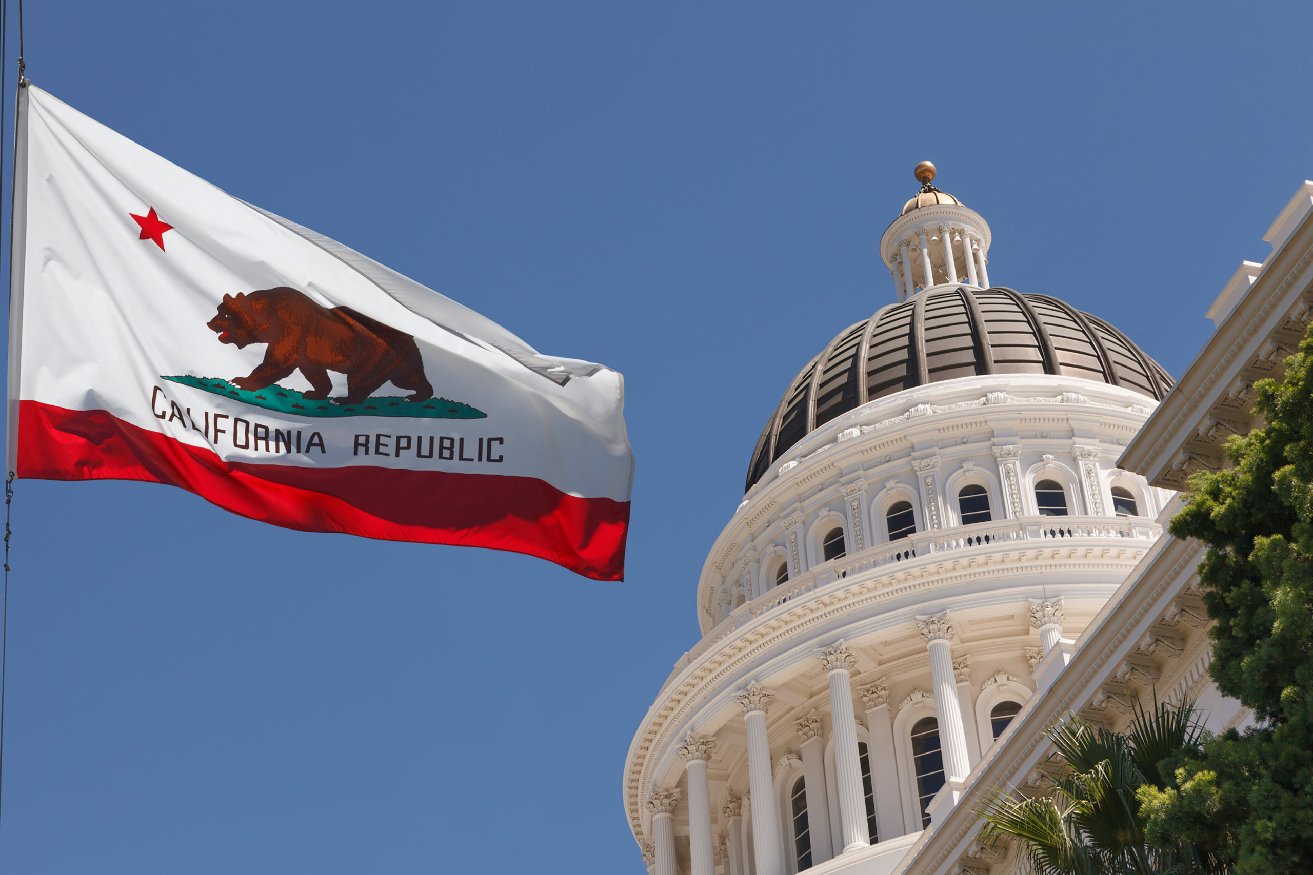 Home California Flag And Capitol Building